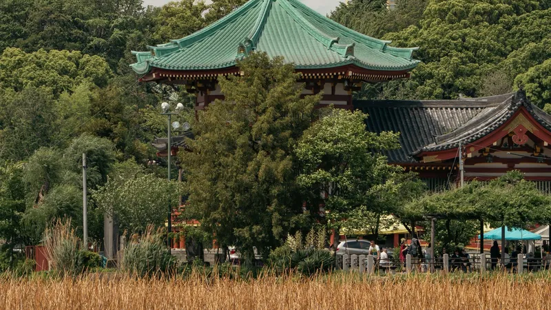 Ueno Park & Museums