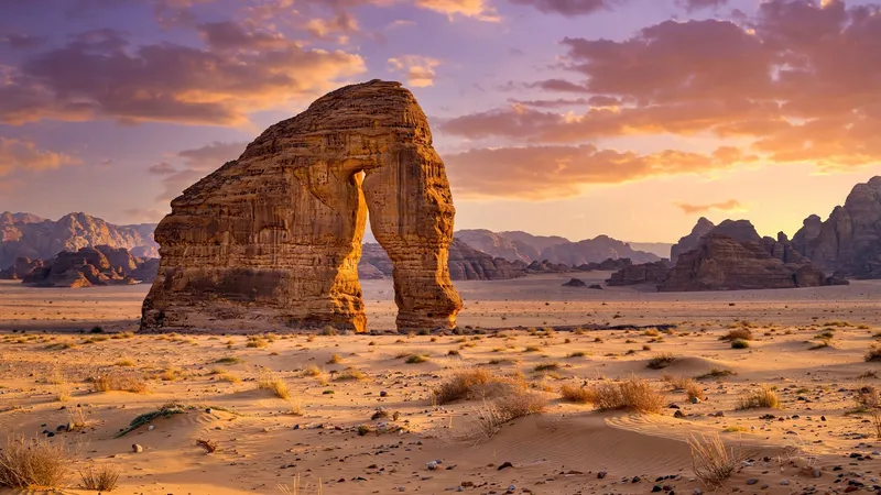Alula