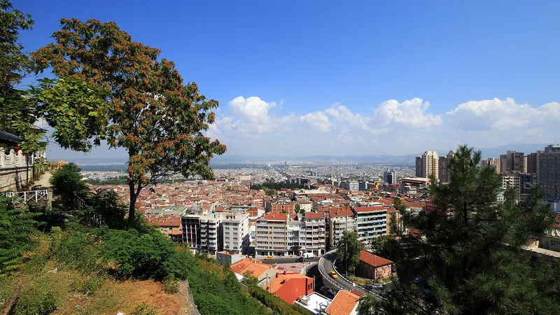 Bursa
